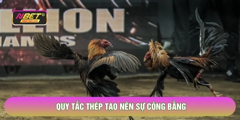 Quy tắc thép tạo nên sự công bằng