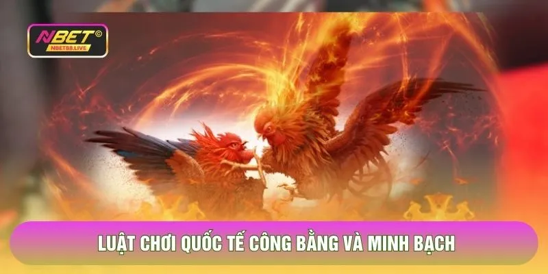Luật chơi quốc tế công bằng và minh bạch
