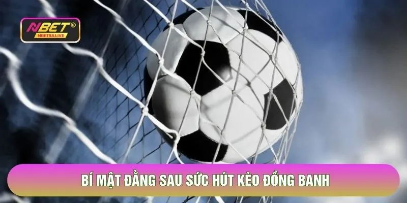 Bí mật đằng sau sức hút kèo đồng banh