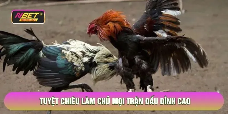 Tuyệt chiêu làm chủ mọi trận đấu đỉnh cao